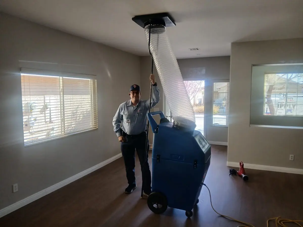 Professional Dryer Vent Cleaning work inside a Appleton home